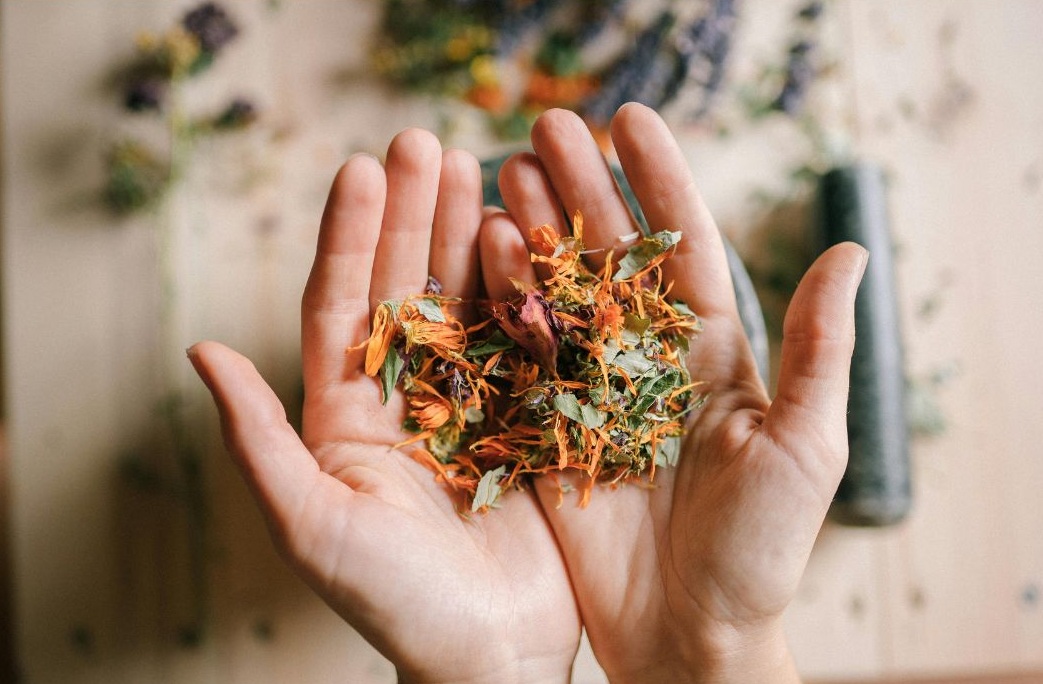 best herbs for menopause